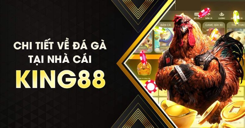 Nguồn gốc trò đá gà King88 ngày xưa